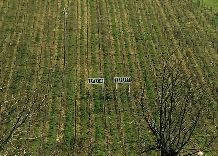 Batzarki ホテル *